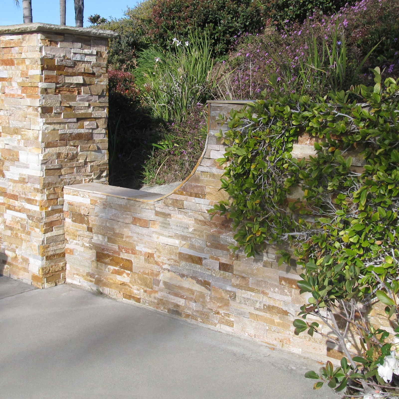 DESERT GOLD: Wall Veneer (6"×24"×3/4"–1 1/2" | natural cleft)