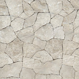 Travertine Wall Veneer (natural cleft)