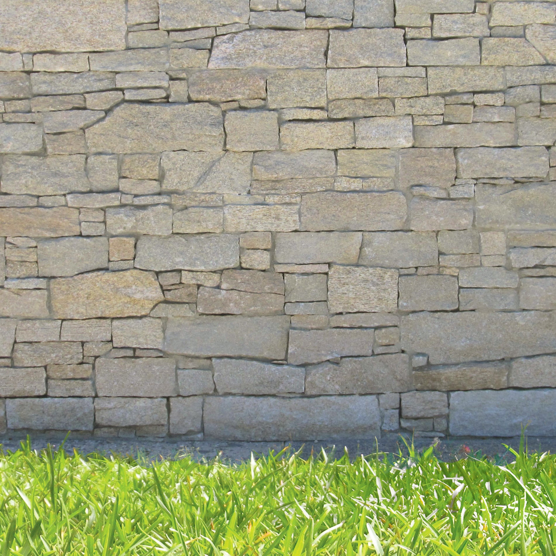 TIGERSKIN YELLOW: Wall Veneer (8"×24"×1"–1 1/2" | natural cleft)