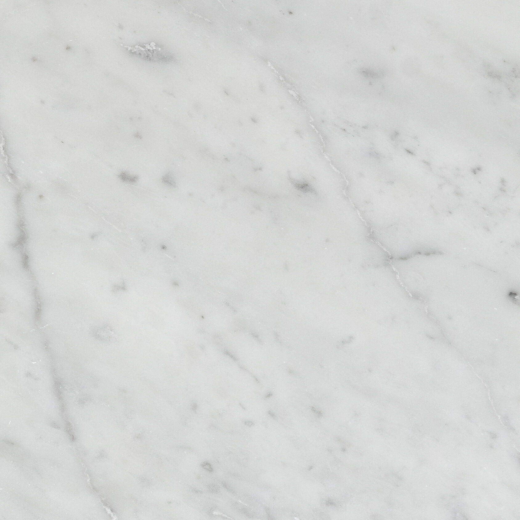 WHITE CARRARA: Field Tile (12"×12"×3/8" | polished)