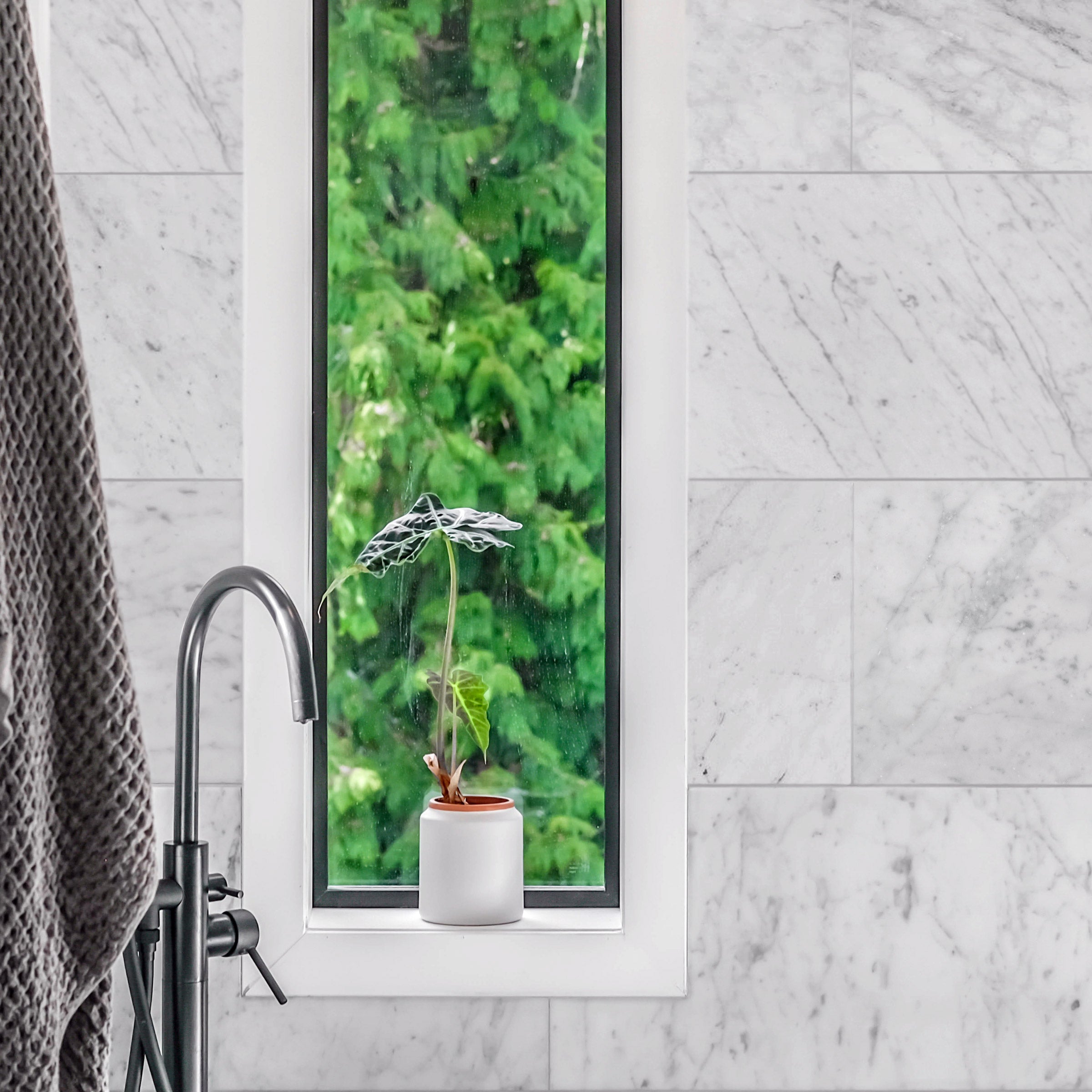 WHITE CARRARA: Field Tile (24"Γ24"Γ3/8" | polished)