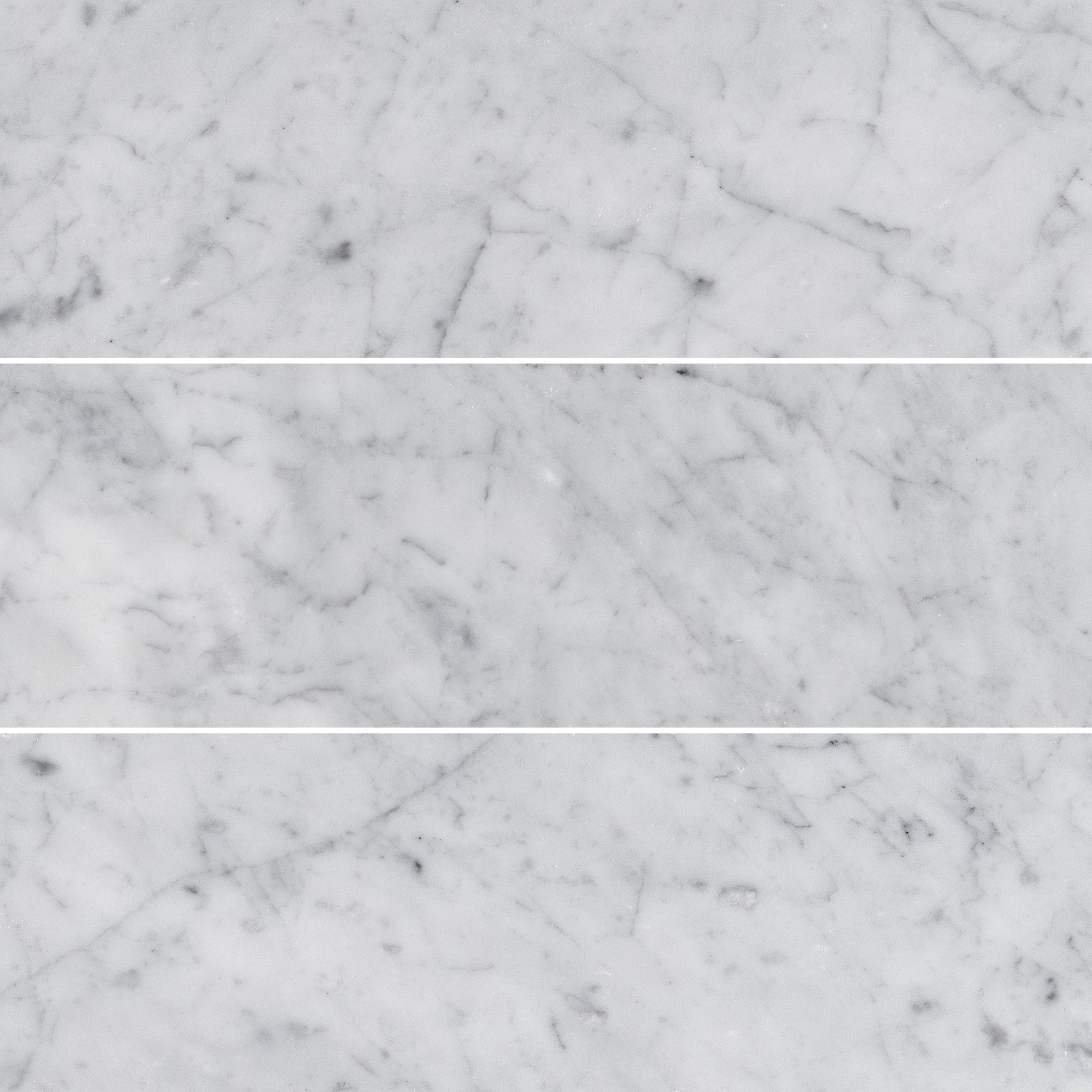 WHITE CARRARA: Field Tile (4"×12"×3/8" | polished)