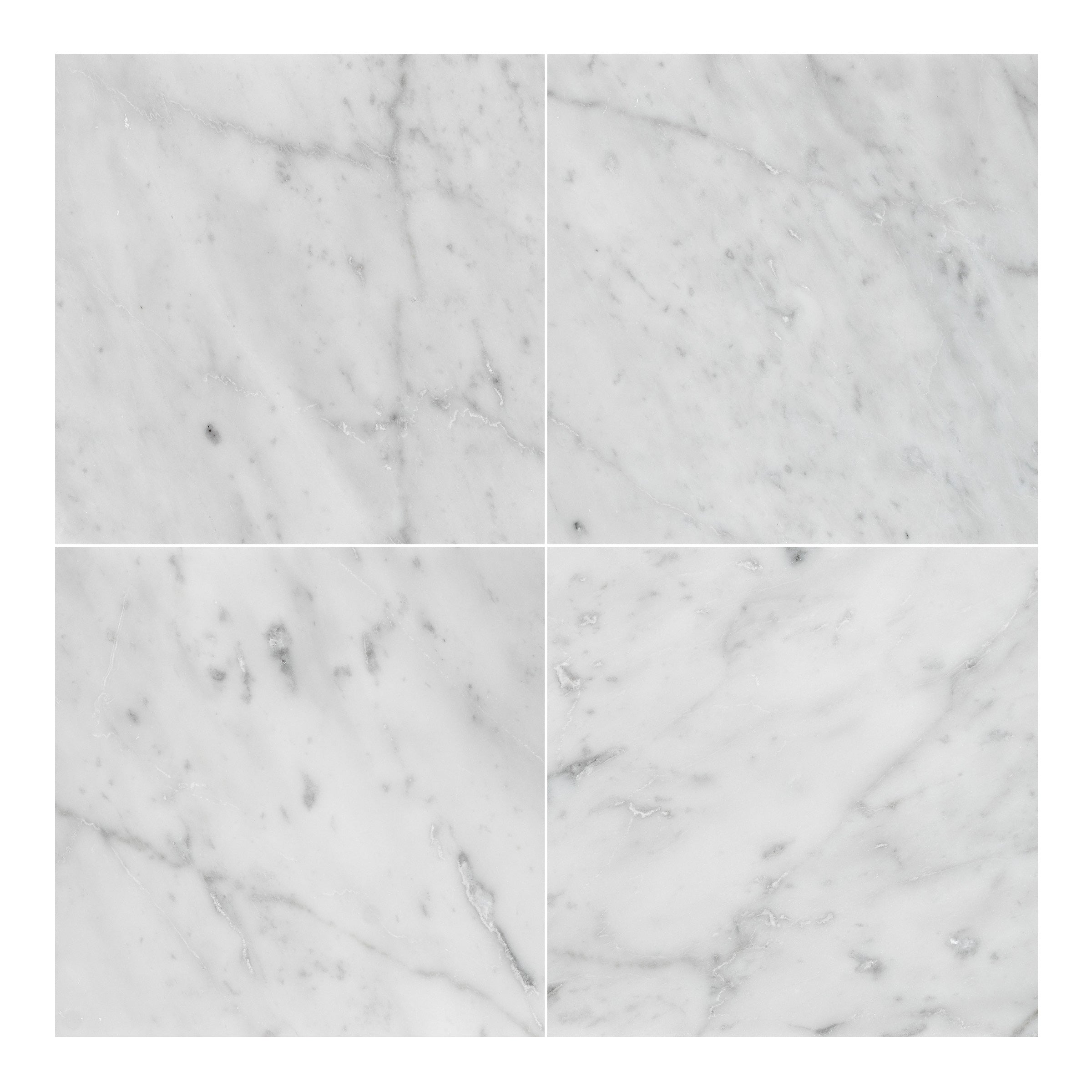 WHITE CARRARA: Field Tile (6"×6"×3/8" | polished)