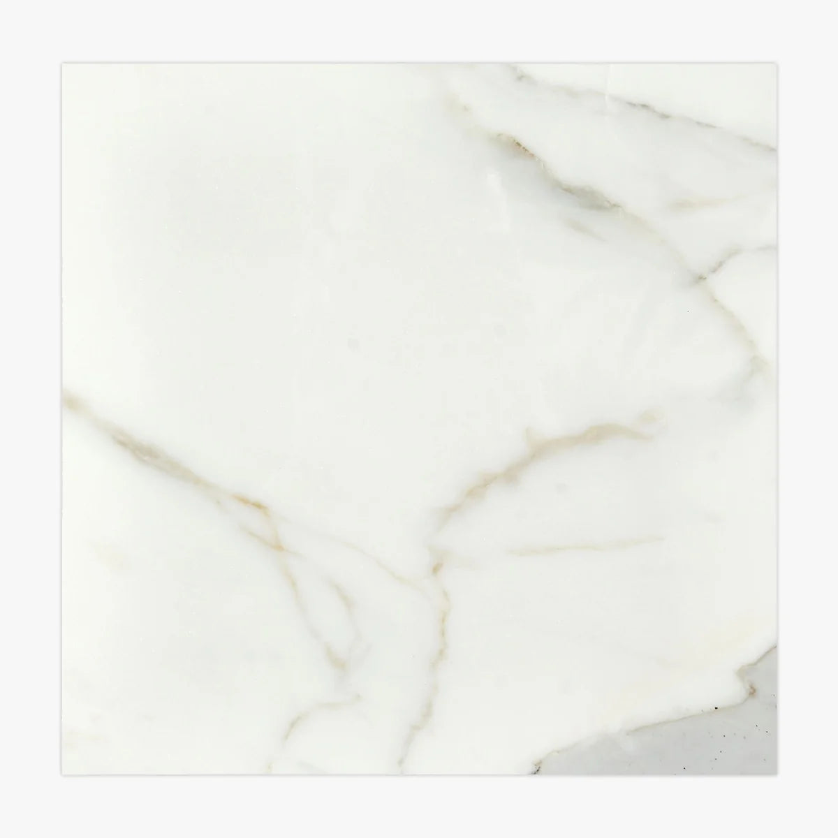 Calacatta Gold Polished Marble White field tile, primary product image. Premium marble for floors and walls.