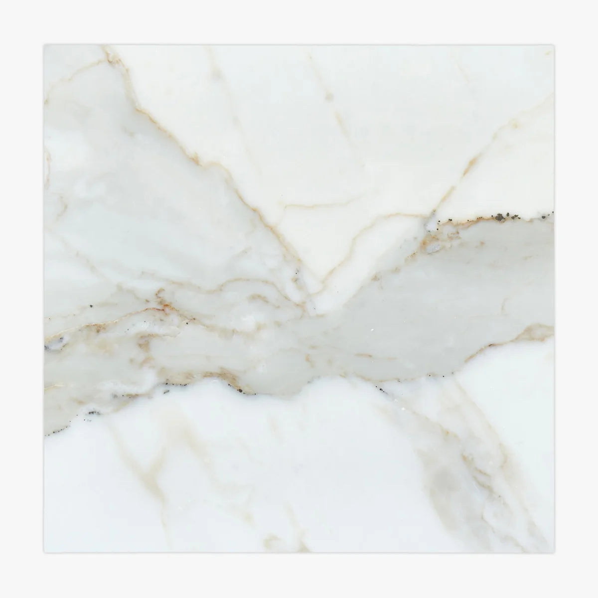 Calacatta Gold Polished Marble White field tile, product image. Premium marble for floors and walls.