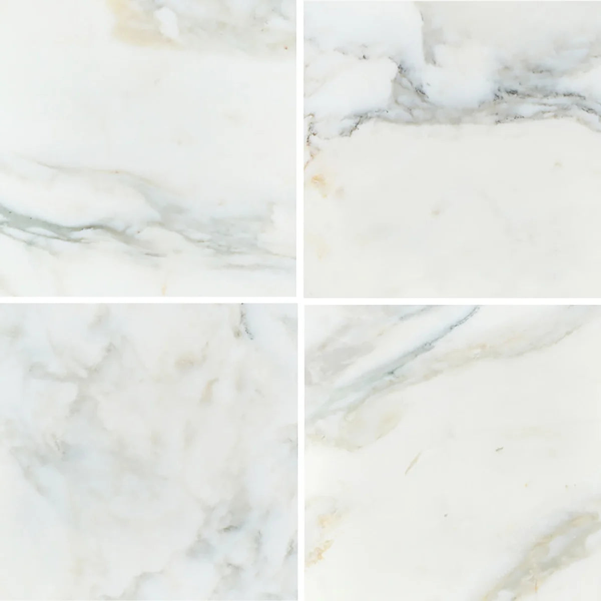 Calacatta Oliva Honed Marble White field tile, product image. Premium marble for floors and walls.
