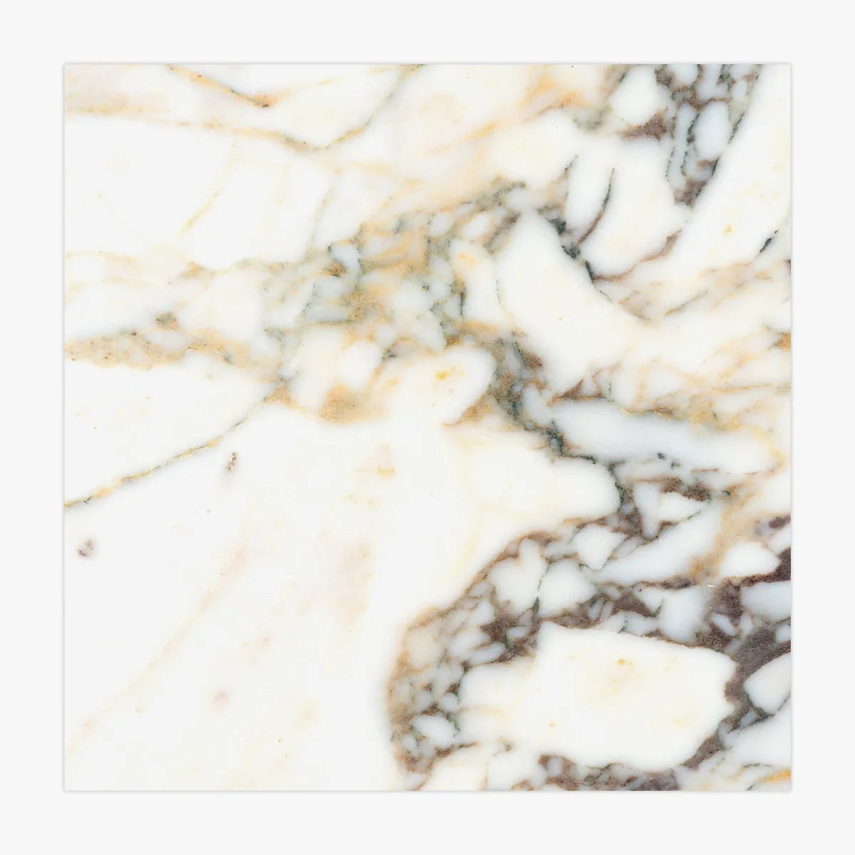 Calacatta Viola Polished Marble White field tile, product image. Premium marble for floors and walls.