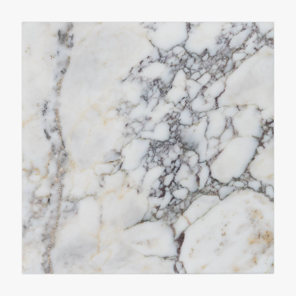 Calacatta Viola Honed Marble White field tile, product image. Premium marble for floors and walls.