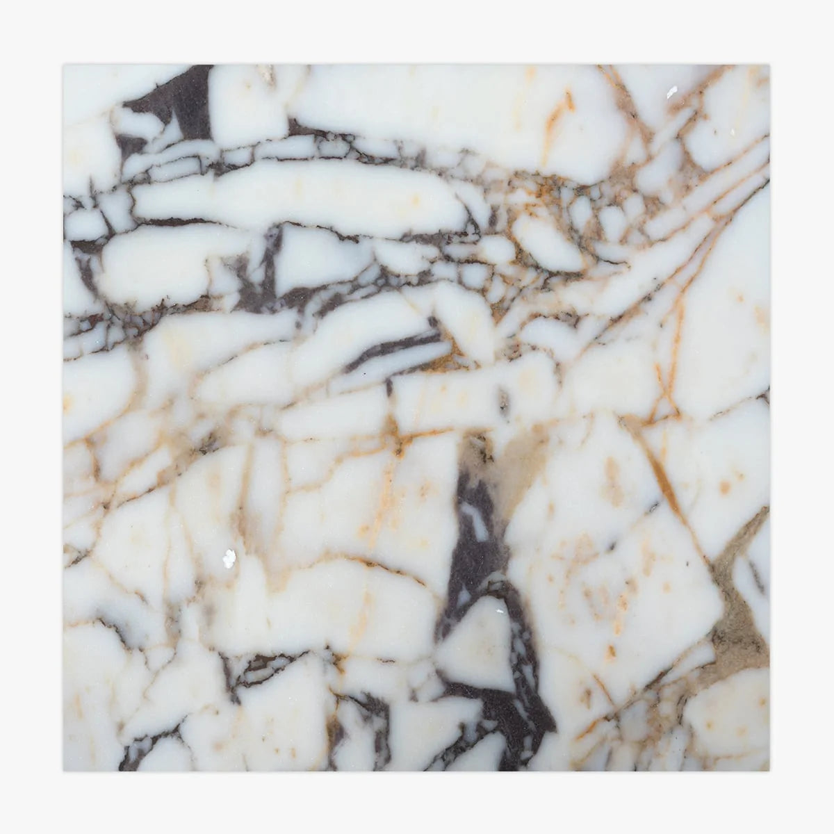 Calacatta Viola Polished Marble White field tile, product image. Premium marble for floors and walls.