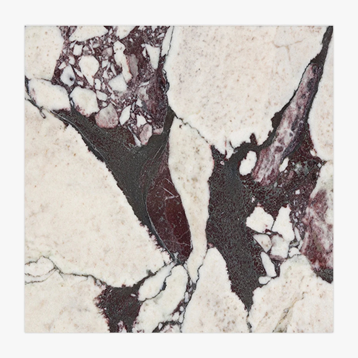 Calacatta Viola Polished Marble White field tile, primary product image. Premium marble for floors and walls.