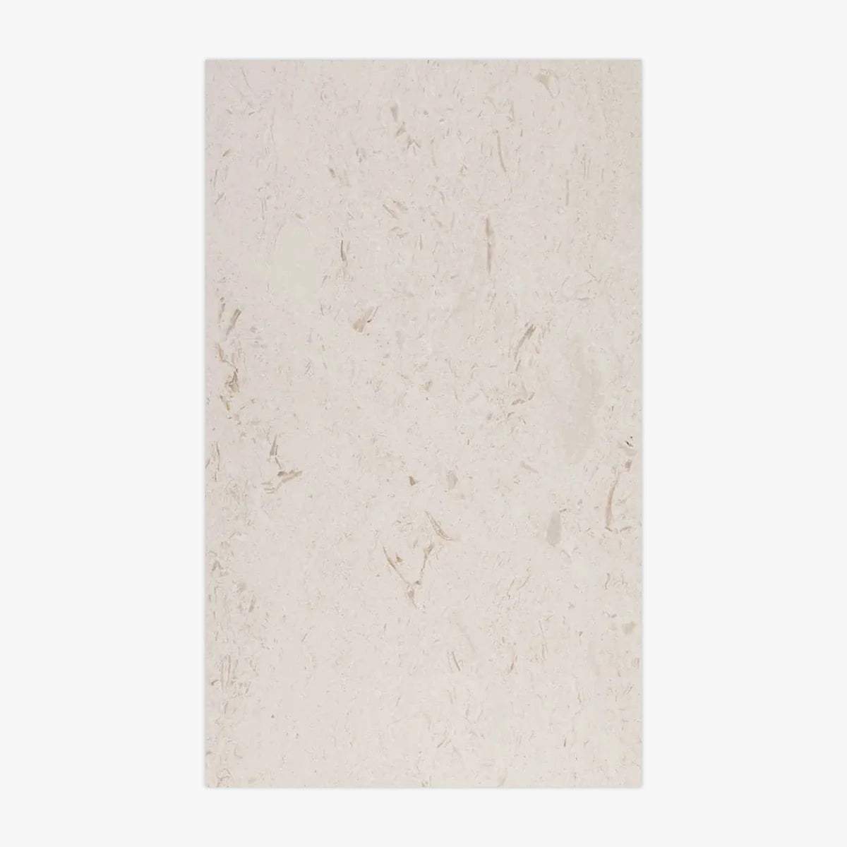 XXL Large Format Beige field tile, primary product image. Premium limestone for floors and walls.