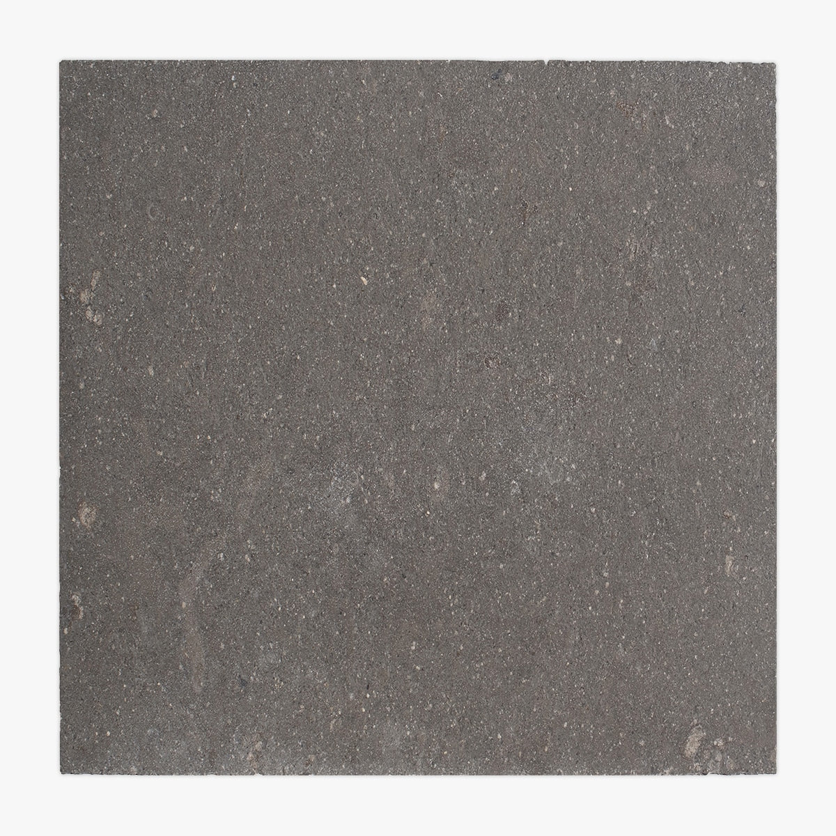 Essentials Natural Stone field tile, primary product image. Premium limestone for floors and walls.