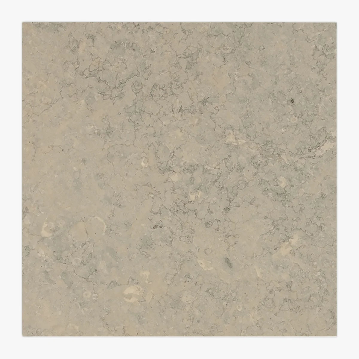 Essentials Natural Stone Gray field tile, primary product image. Premium limestone for floors and walls.