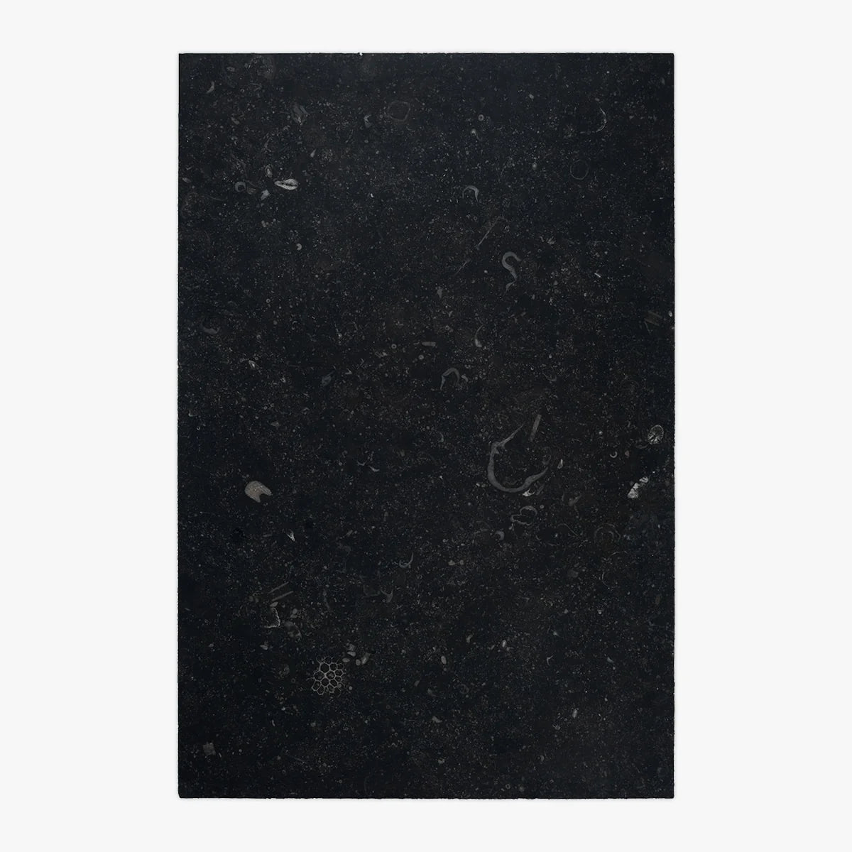 Antique Inspirations Black field tile, top-down product view. Premium limestone for floors and walls.
