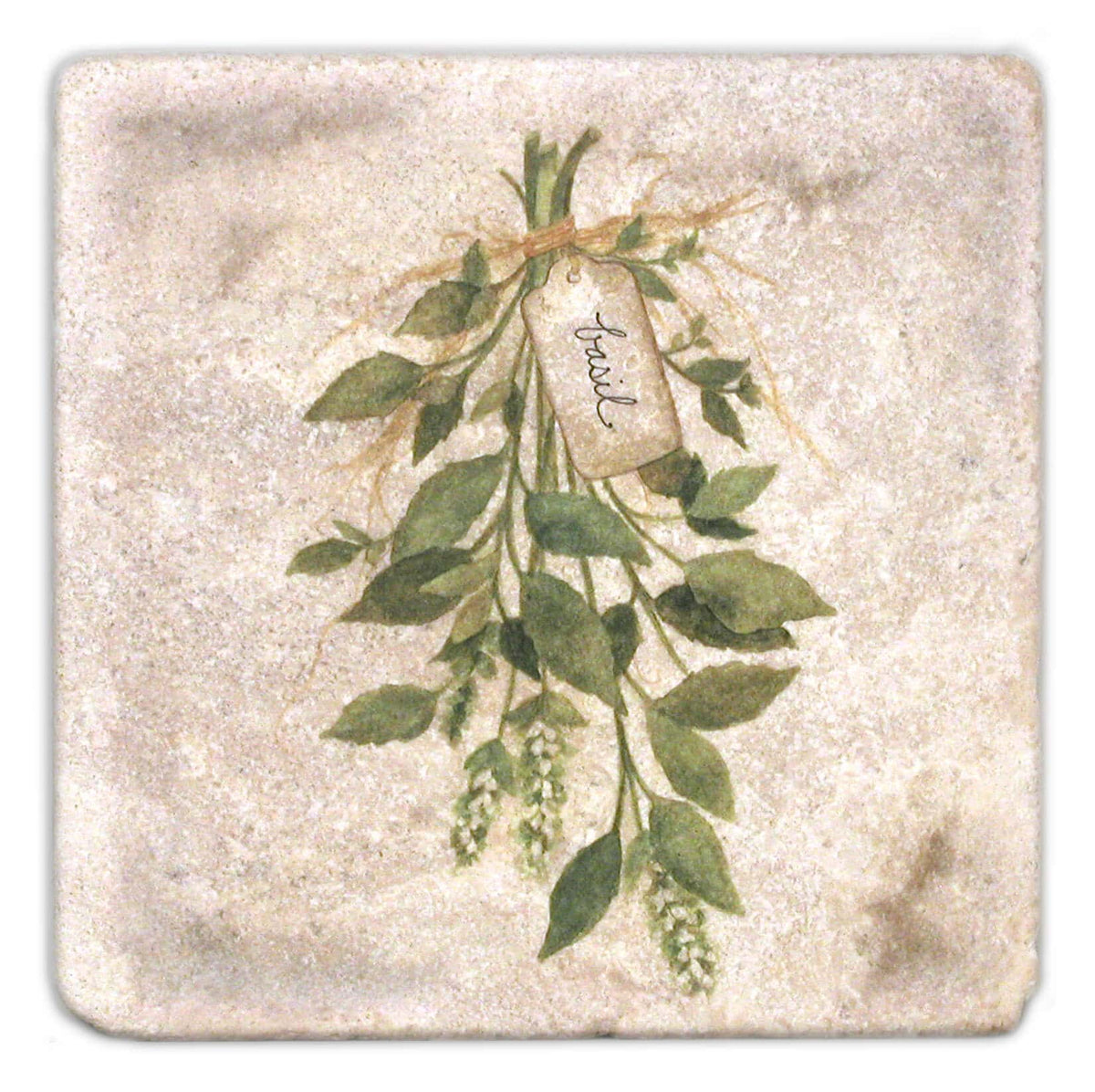 Stone Impressions Herbs tile — available at Surface Group