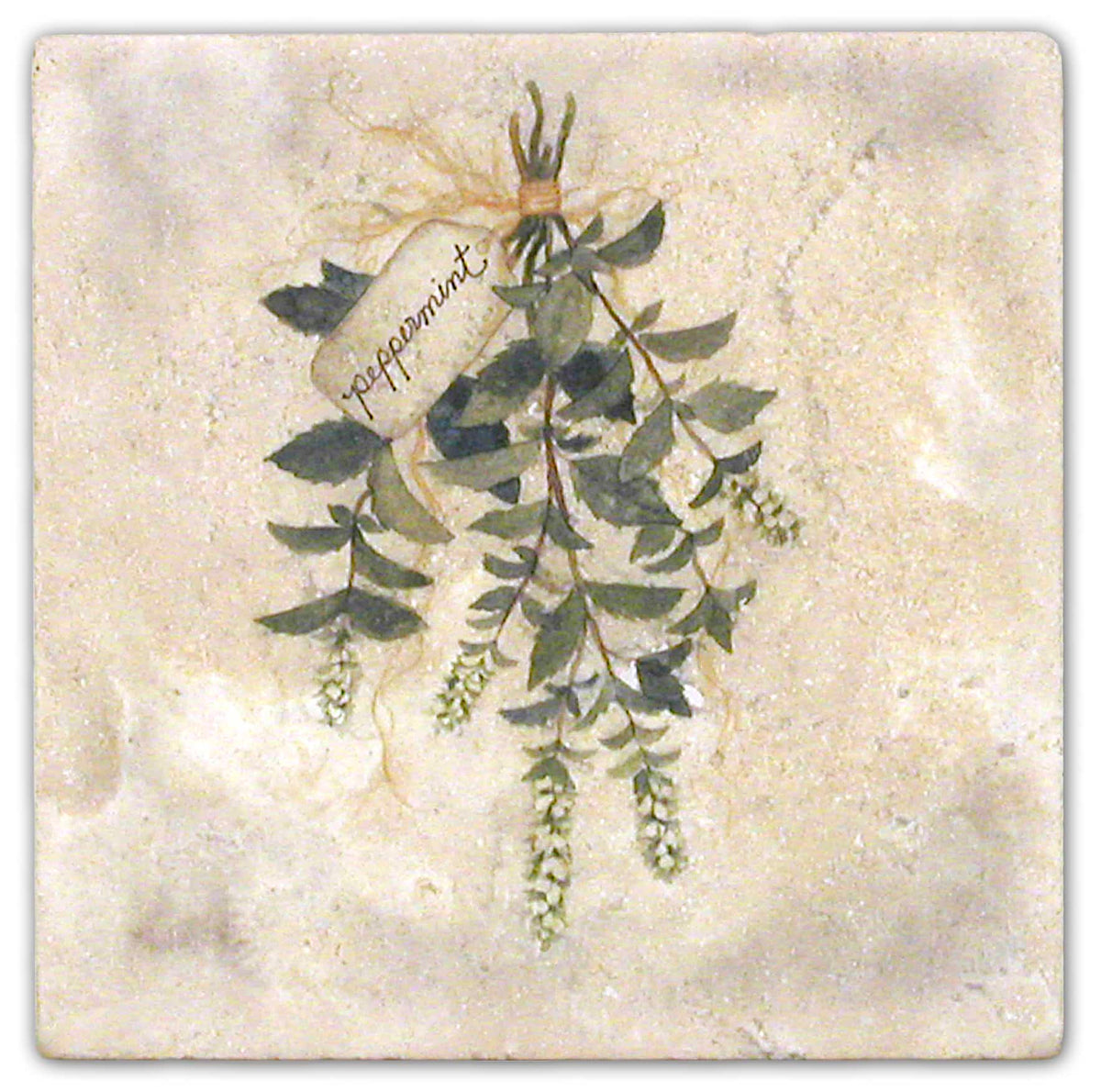 Stone Impressions Herbs tile — available at Surface Group
