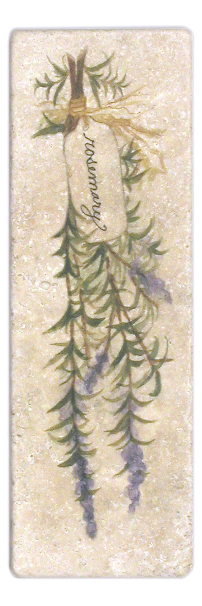 Stone Impressions Herbs tile — available at Surface Group