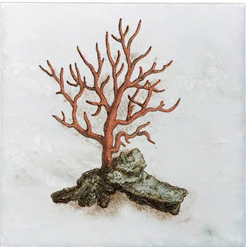 Ocean Life field tile, alternate product view, 4"×4"×3/8" size. Premium travertine for floors and walls.