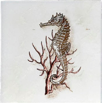 Stone Impressions Ocean Life tile — available at Surface Group