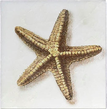Ocean Life field tile, top-down product view