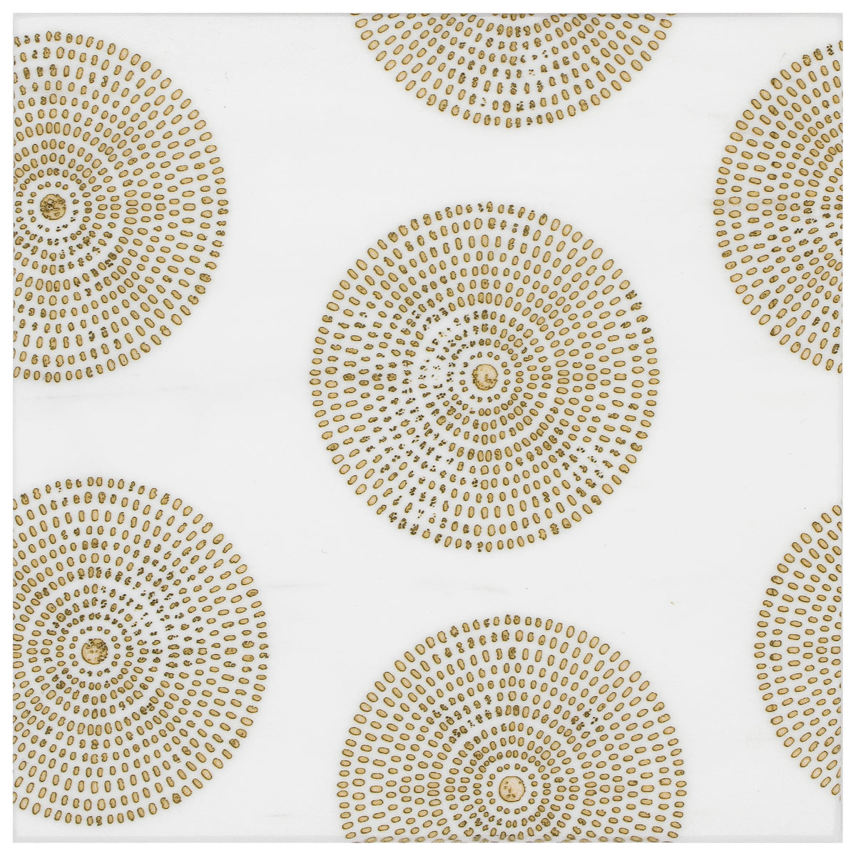Stone Impressions Poplar honed tile — available at Surface Group