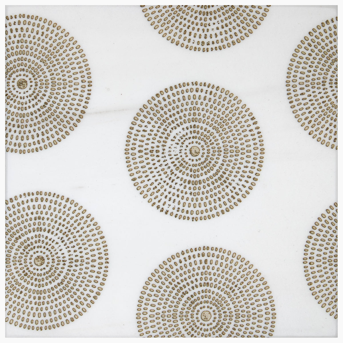 Stone Impressions Poplar honed tile — available at Surface Group