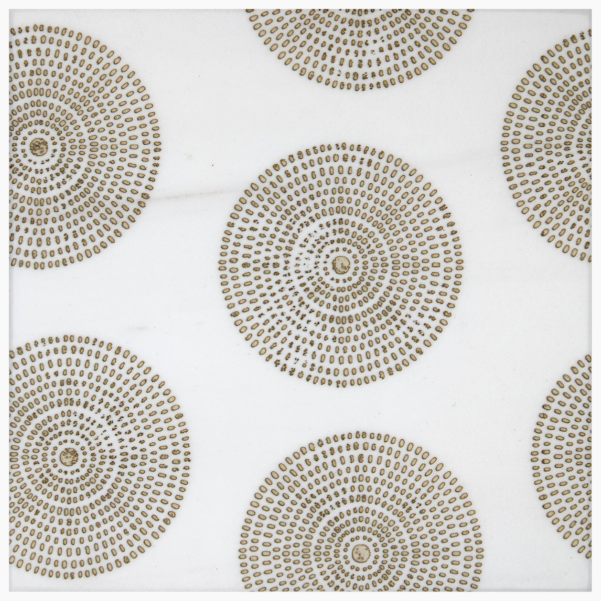 Stone Impressions Poplar honed tile β available at Surface Group