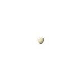 Ocean Sand Dollar Quarter Round Beak (1"-Width)