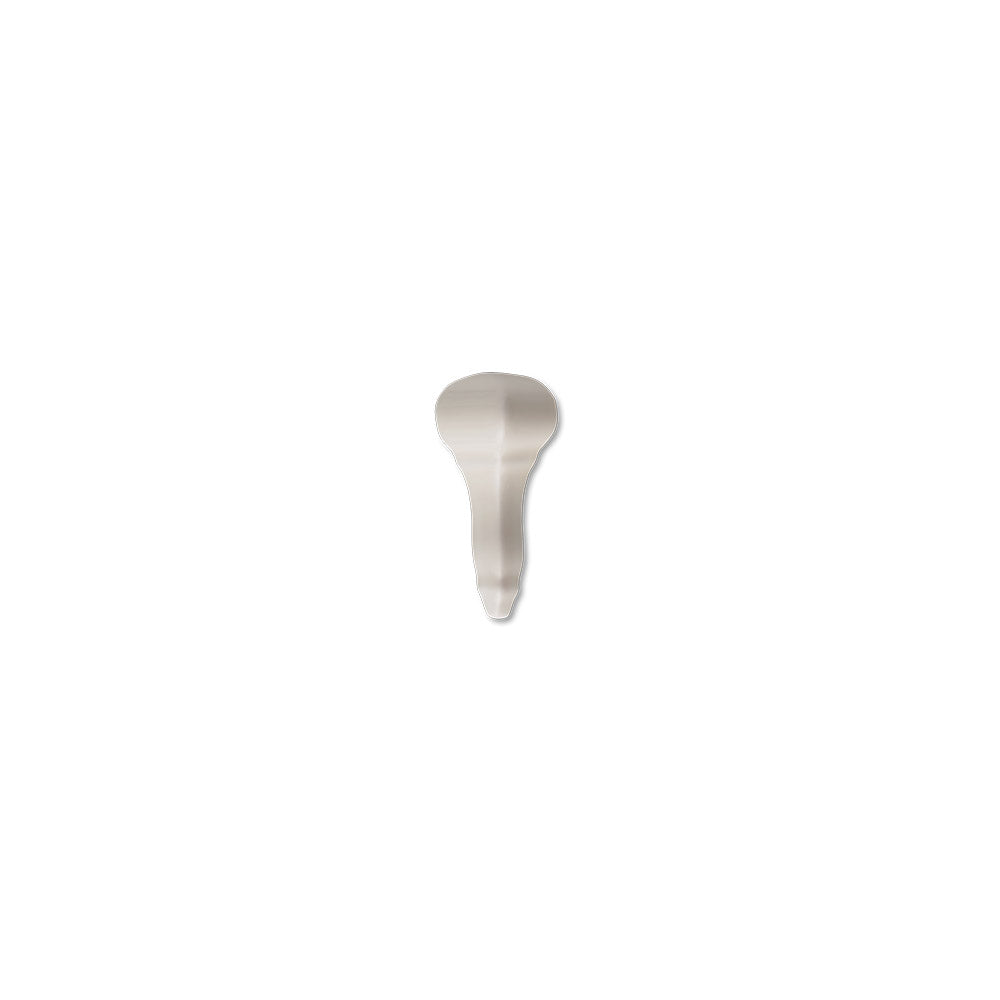 adex ceramic tile for indoor wall and or floor studio almond molding basic rail end cap glossy translucent mono embossed reliefed 2_8x distributed by surface group international
