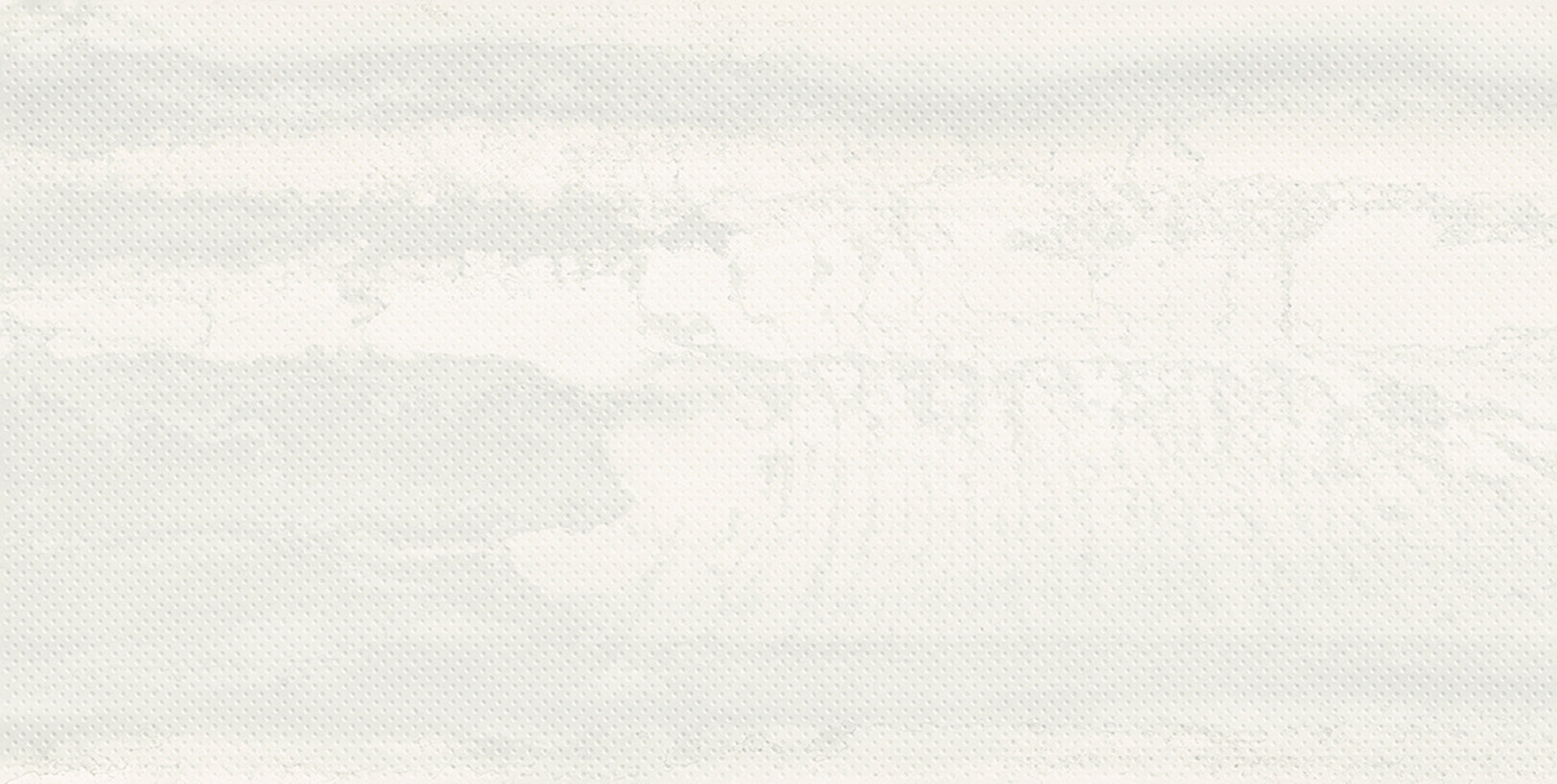 Metallica: Metalriddle Steel White Field Tile (24"x48"x9.5-mm | matte)