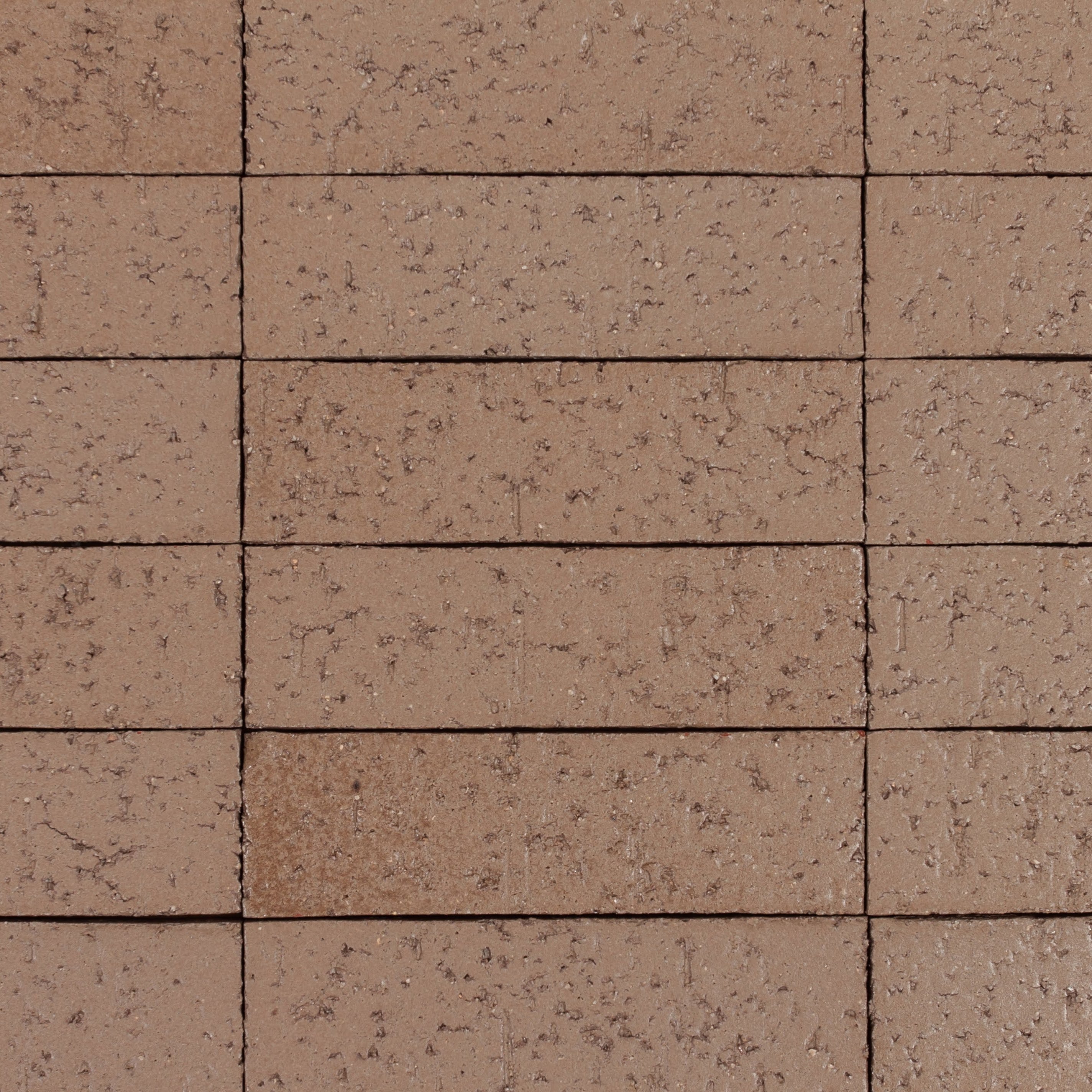 Arto Glazed Brick: Nutshell (Flat 2¼"x7⅝"x⅝")