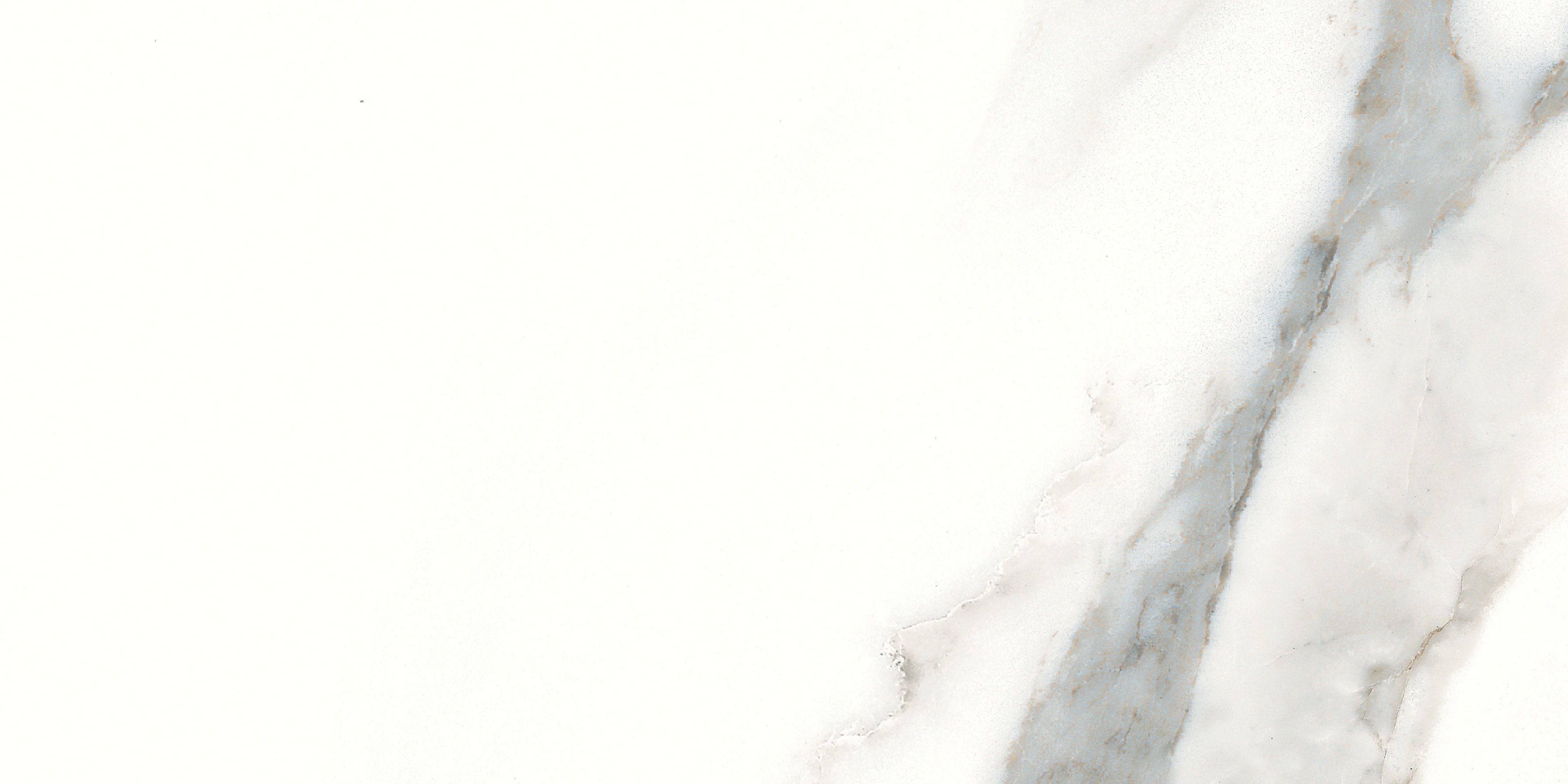 calacatta pattern glazed ceramic field tile from classic anatolia collection distributed by surface group international glossy finish pressed edge 6x12 rectangle shape