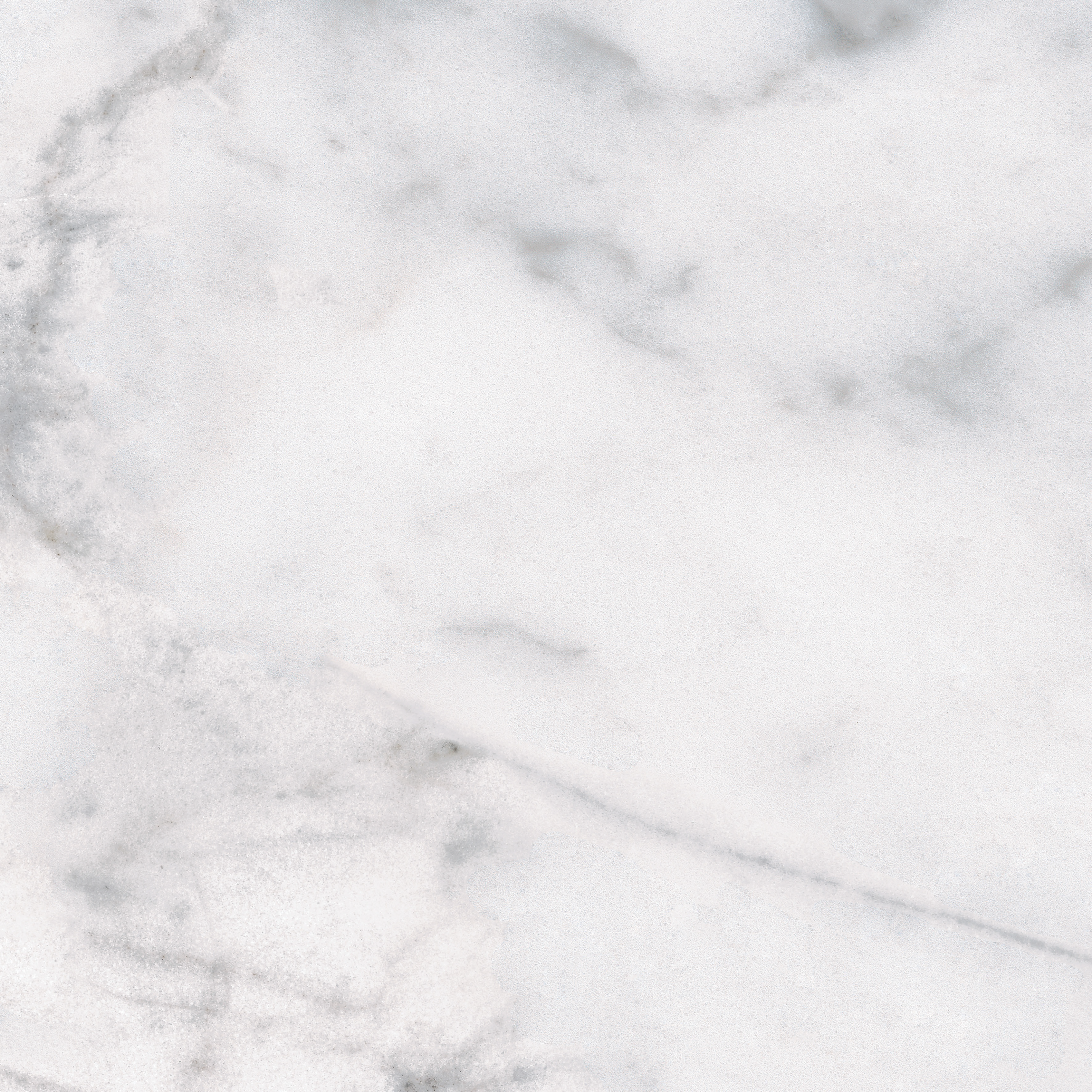 carrara pattern glazed porcelain field tile from classic anatolia collection distributed by surface group international matte finish pressed edge 12x12 square shape