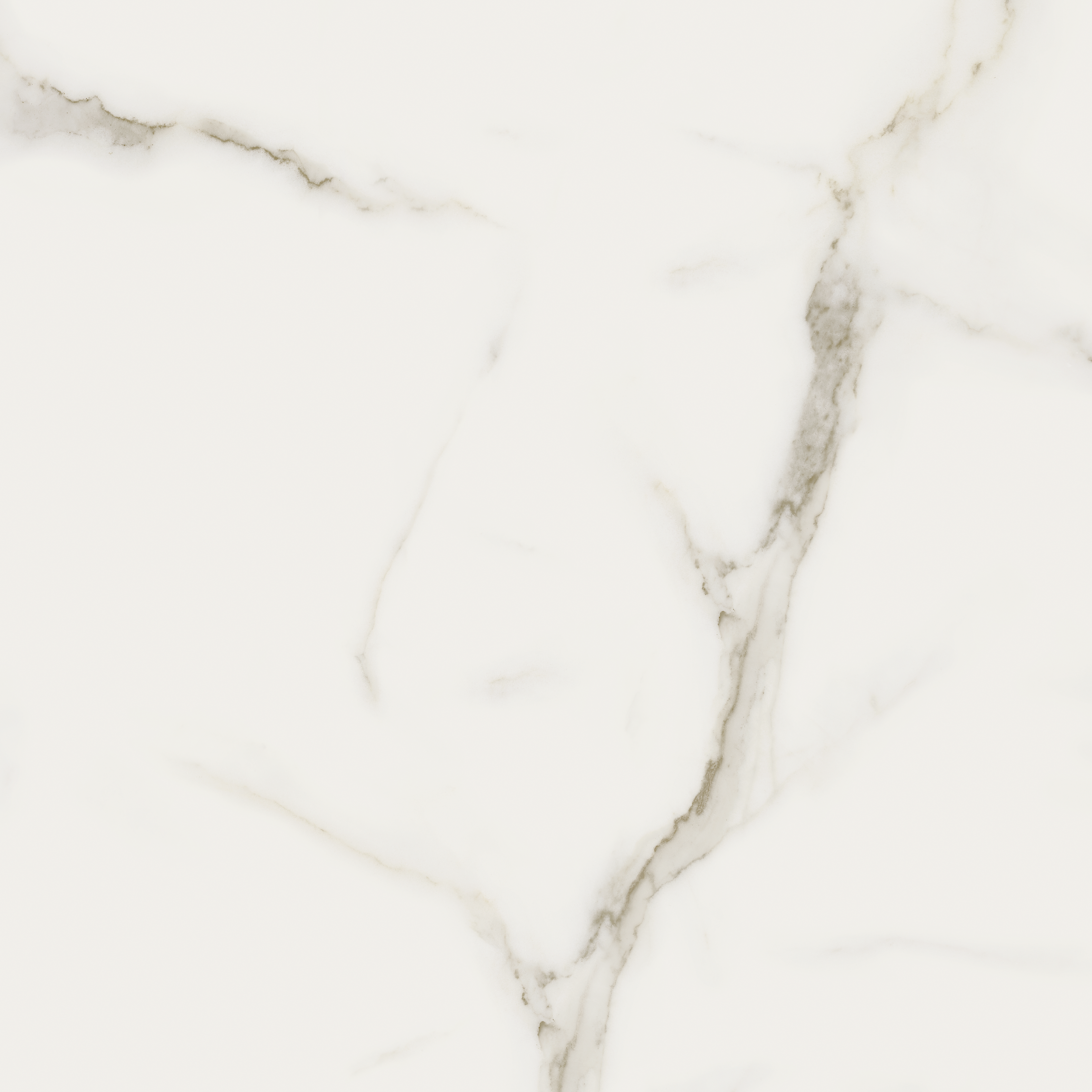 calacatta oro pattern glazed porcelain field tile from mayfair anatolia collection distributed by surface group international matte finish rectified edge 24x24 square shape