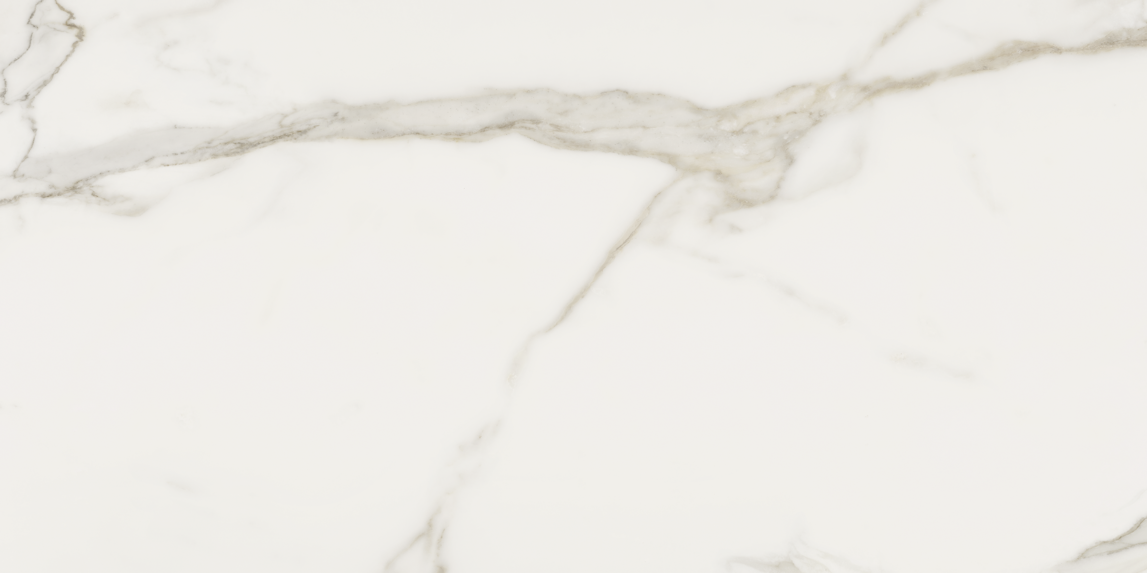 calacatta oro pattern glazed porcelain field tile from mayfair anatolia collection distributed by surface group international polished finish rectified edge 24x48 rectangle shape