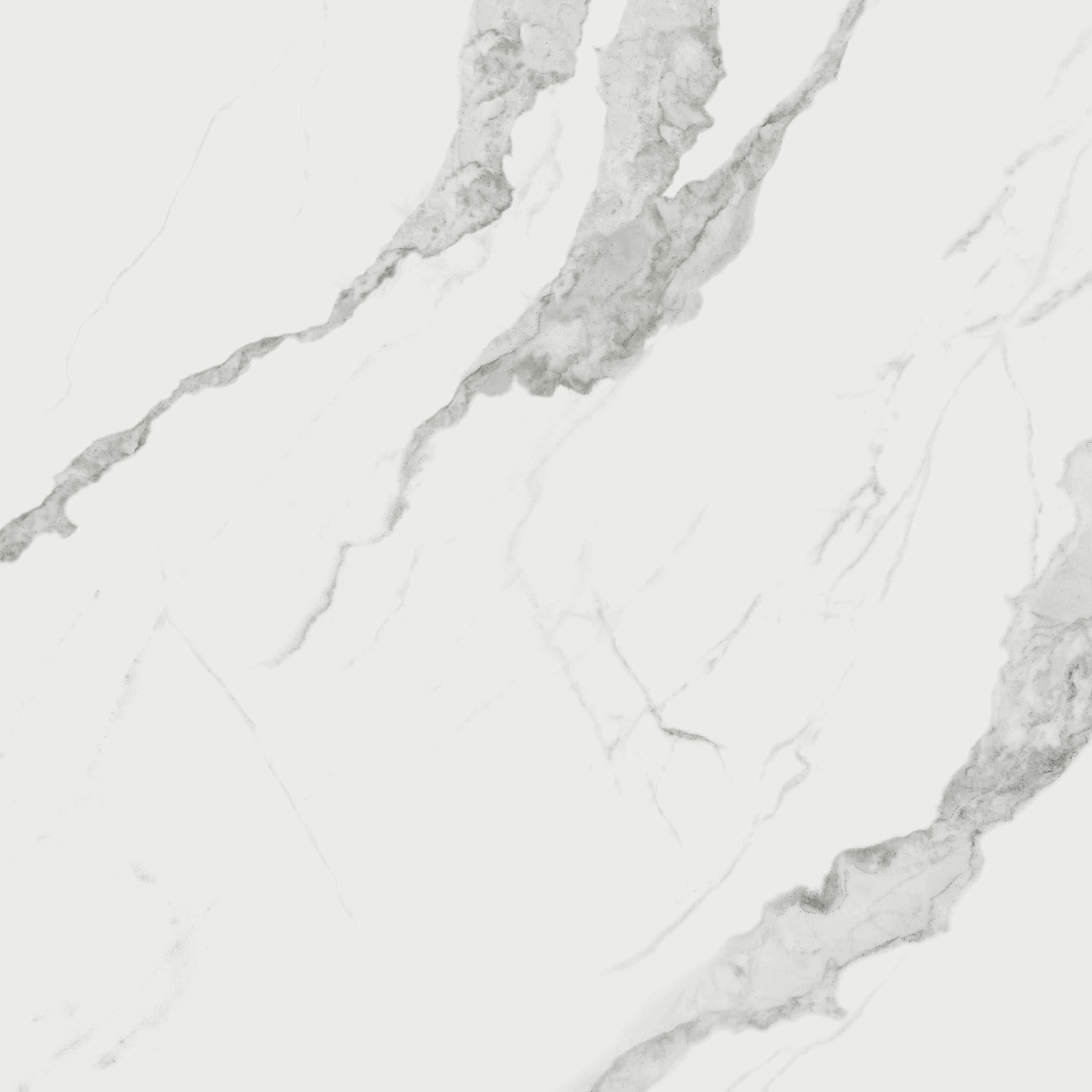statuario venato pattern glazed porcelain field tile from mayfair anatolia collection distributed by surface group international matte finish rectified edge 24x24 square shape