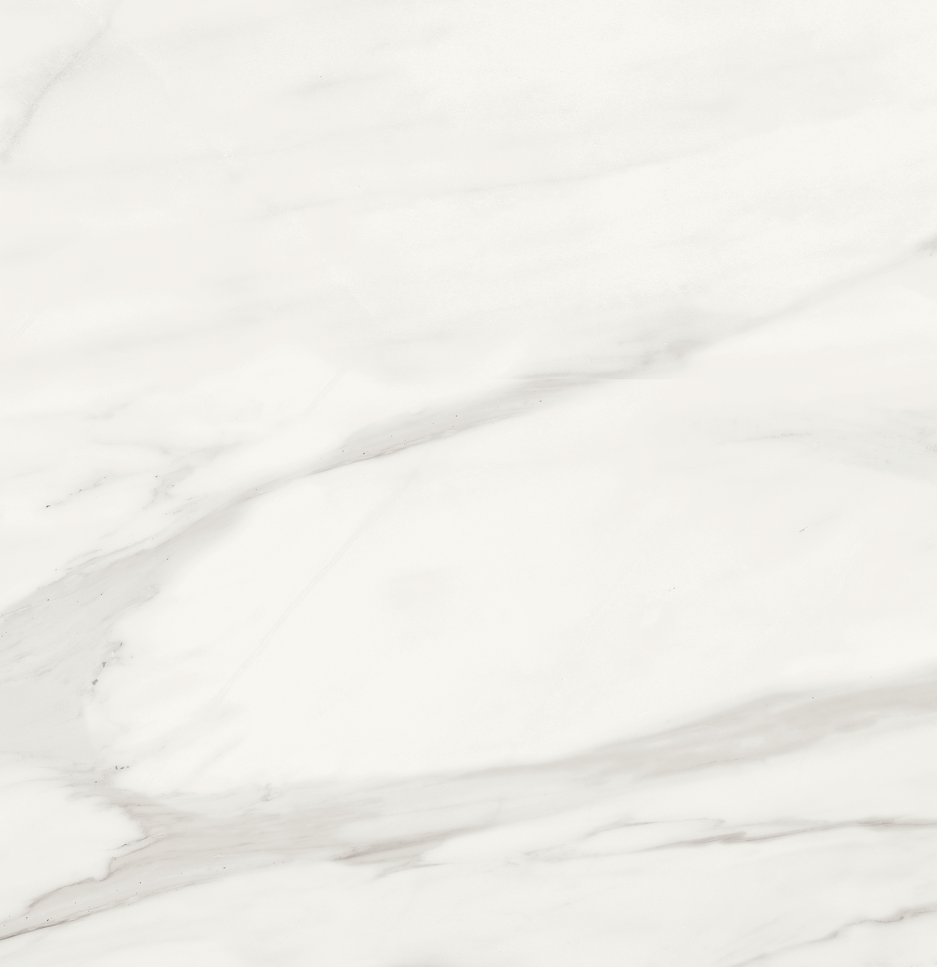 volakas grigio pattern glazed porcelain field tile from mayfair anatolia collection distributed by surface group international polished finish rectified edge 24x24 square shape