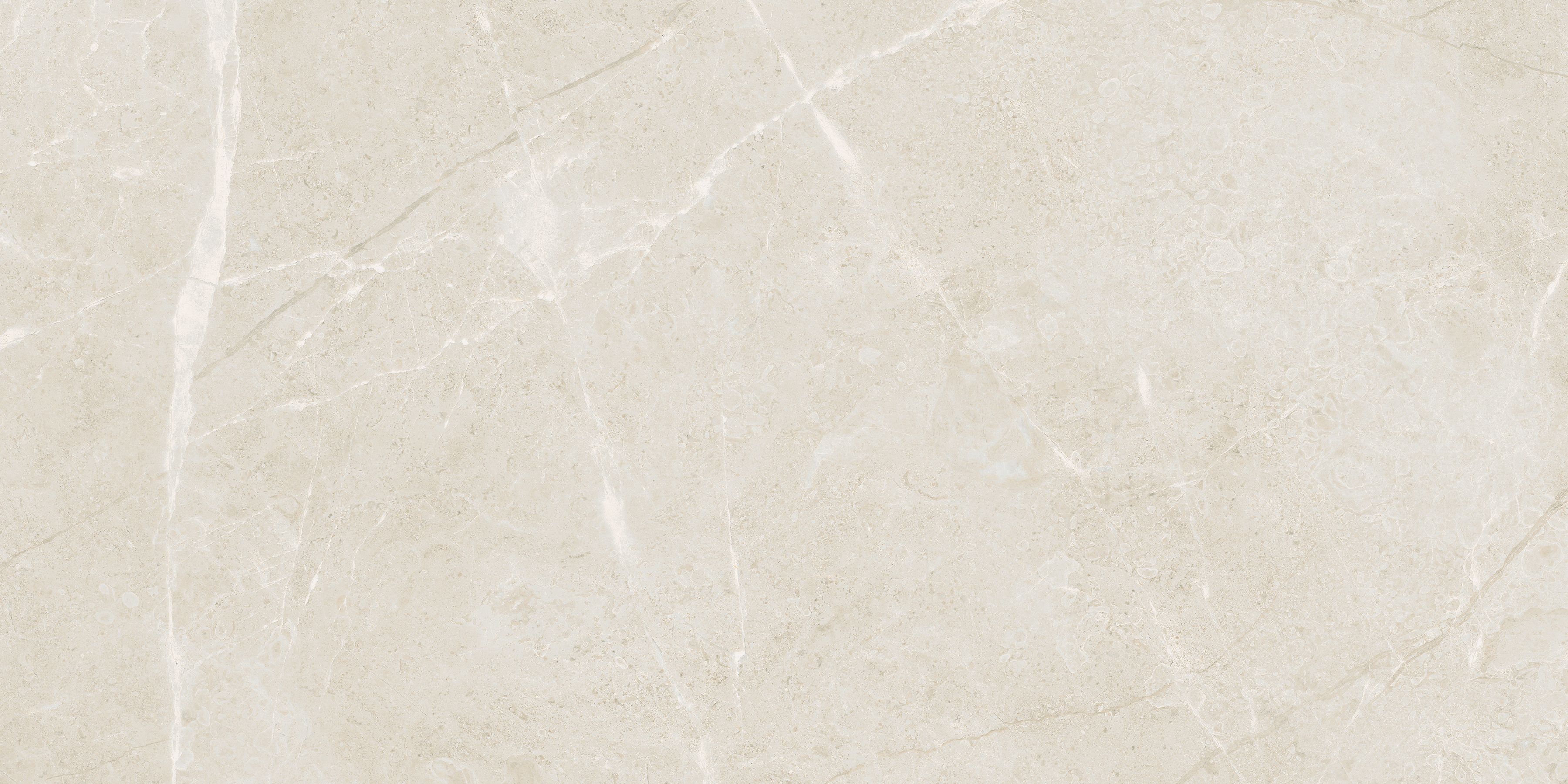 avorio pattern glazed porcelain field tile from torino anatolia collection distributed by surface group international matte finish pressed edge 12x24 rectangle shape