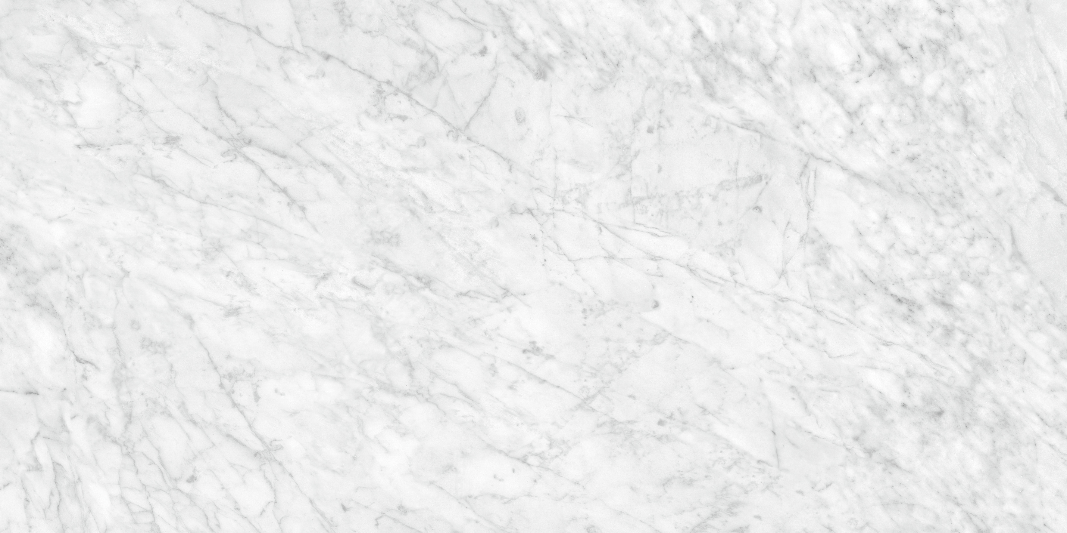 carrara gioia pattern glazed porcelain field tile from la marca anatolia collection distributed by surface group international polished finish rectified edge 24x48 rectangle shape