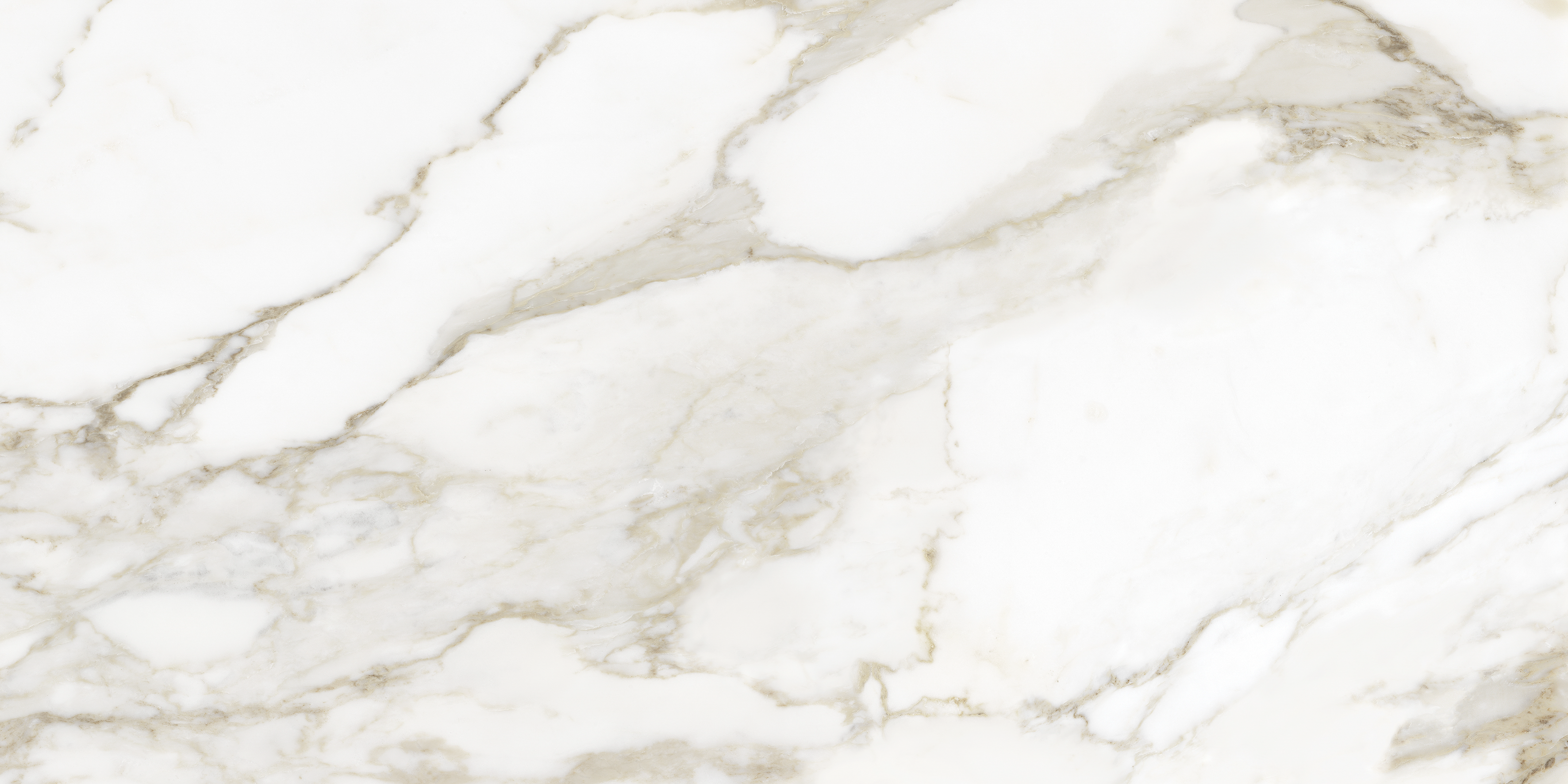 calacatta paonazzo pattern glazed porcelain field tile from la marca anatolia collection distributed by surface group international honed finish rectified edge 24x48 rectangle shape