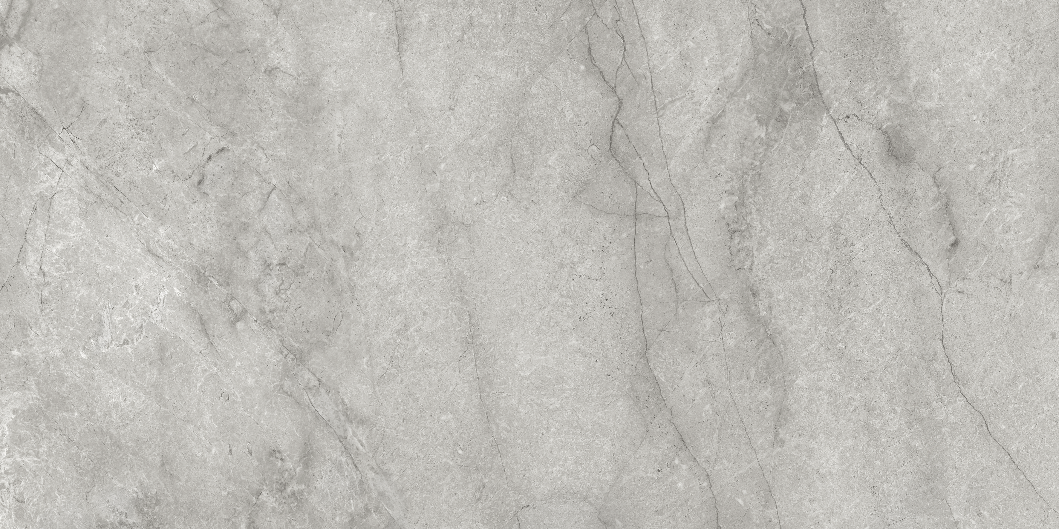 paradiso argento pattern glazed porcelain field tile from la marca anatolia collection distributed by surface group international honed finish rectified edge 24x48 rectangle shape