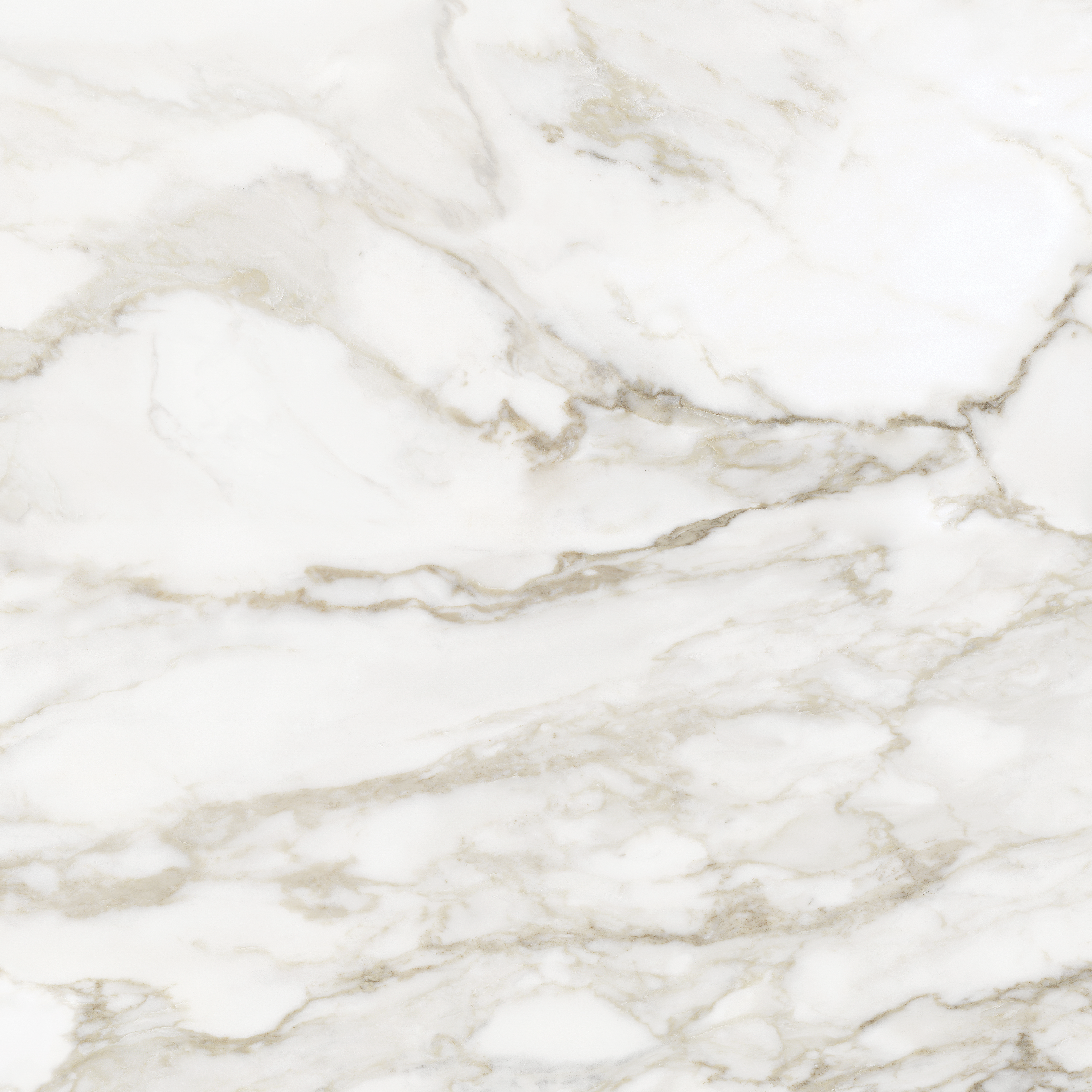 calacatta paonazzo pattern glazed porcelain field tile from la marca anatolia collection distributed by surface group international honed finish rectified edge 32x32 square shape