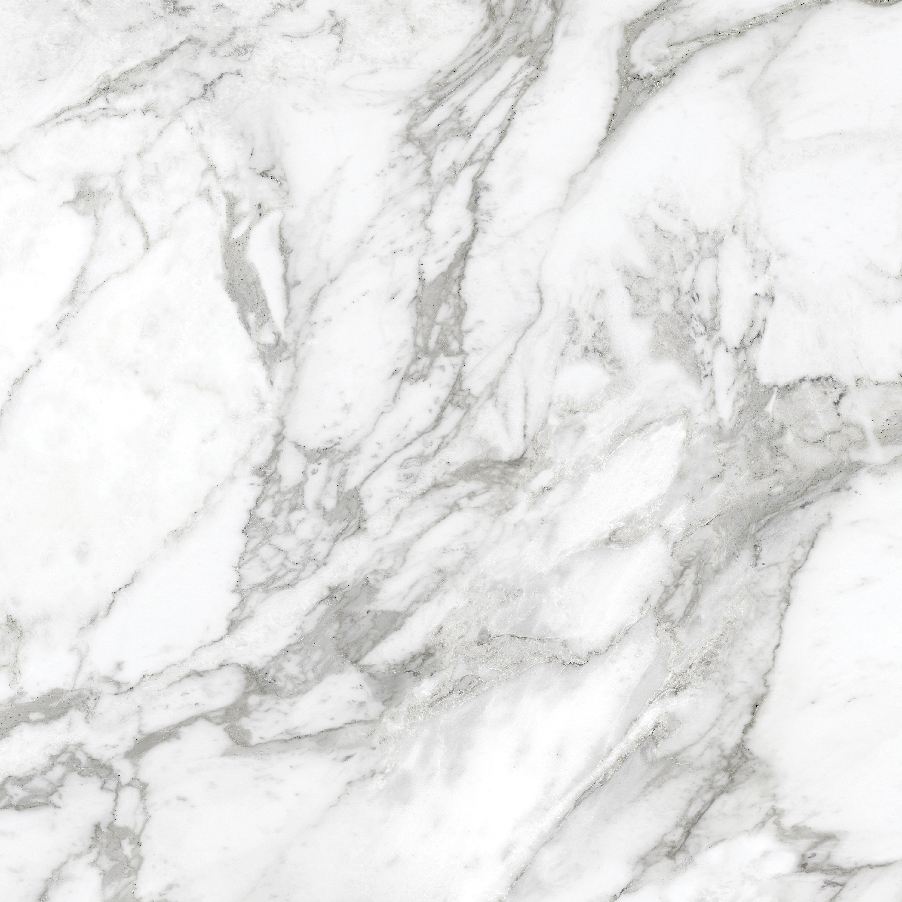 arabescato pattern glazed porcelain field tile from la marca anatolia collection distributed by surface group international polished finish rectified edge 24x24 square shape