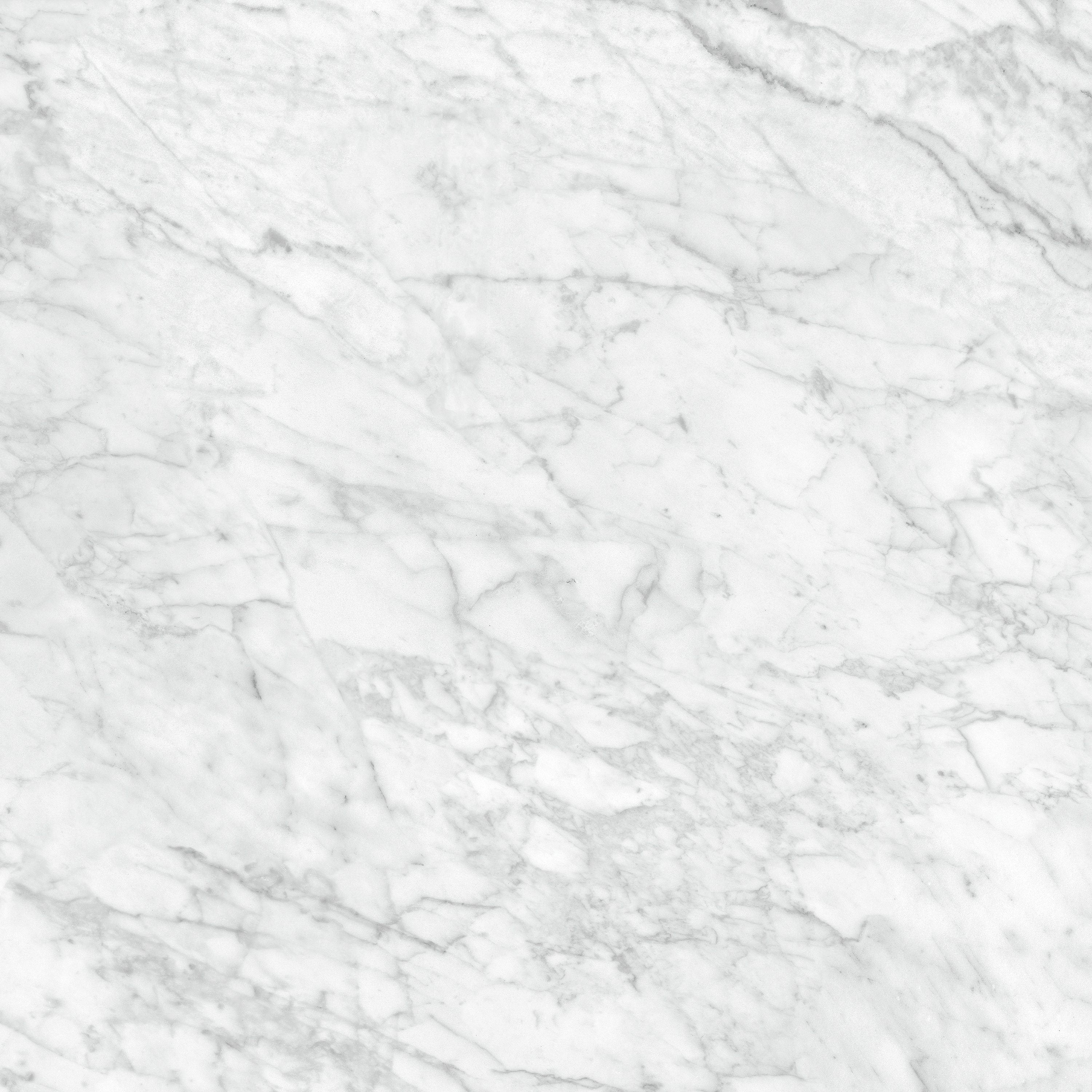 carrara gioia pattern glazed porcelain field tile from la marca anatolia collection distributed by surface group international polished finish rectified edge 24x24 square shape