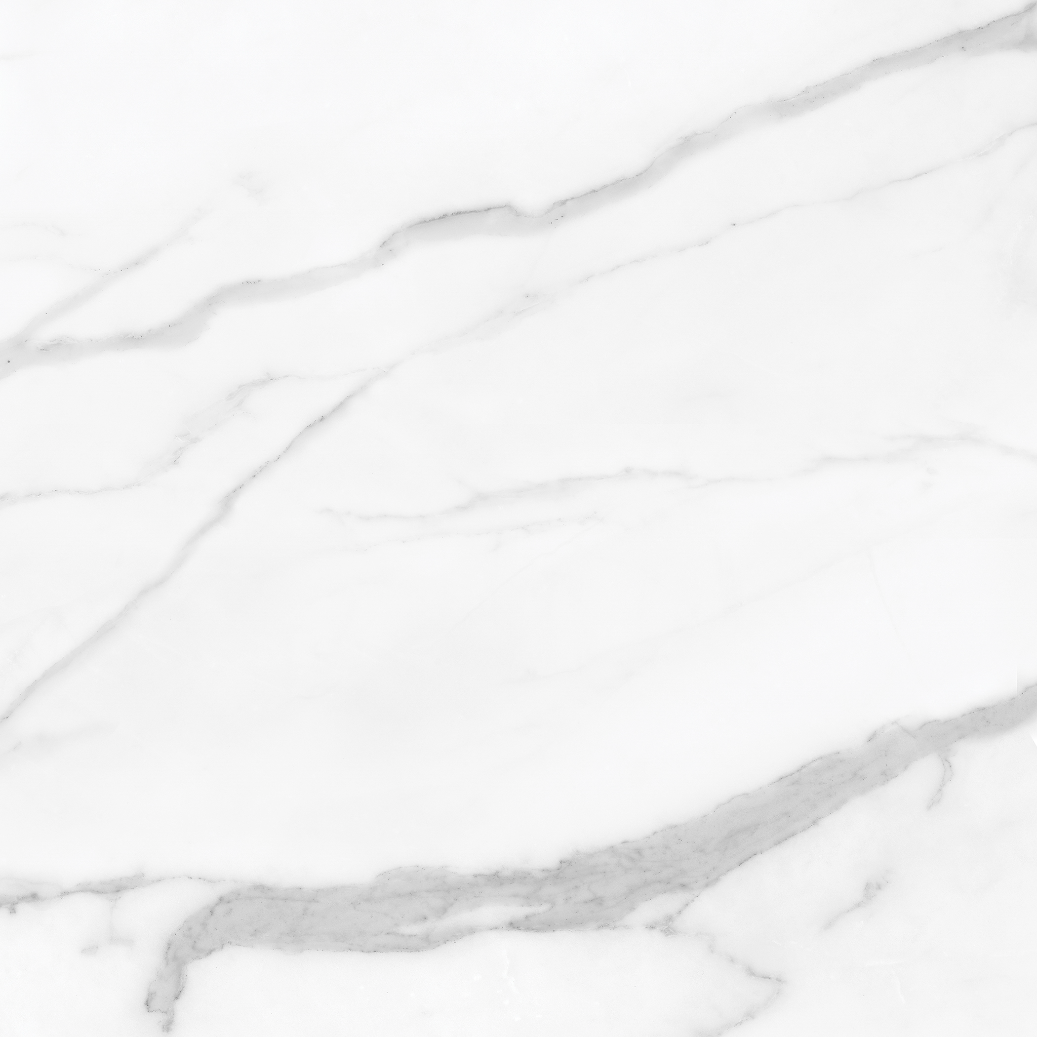 statuario nuovo pattern glazed porcelain field tile from la marca anatolia collection distributed by surface group international polished finish rectified edge 24x24 square shape