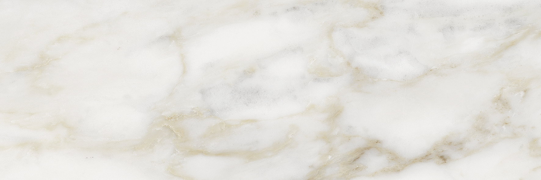 calacatta paonazzo pattern glazed porcelain field tile from la marca anatolia collection distributed by surface group international honed finish rectified edge 4x12 rectangle shape