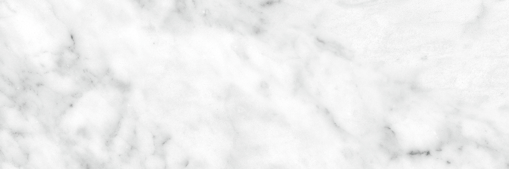 carrara gioia pattern glazed porcelain field tile from la marca anatolia collection distributed by surface group international honed finish rectified edge 4x12 rectangle shape