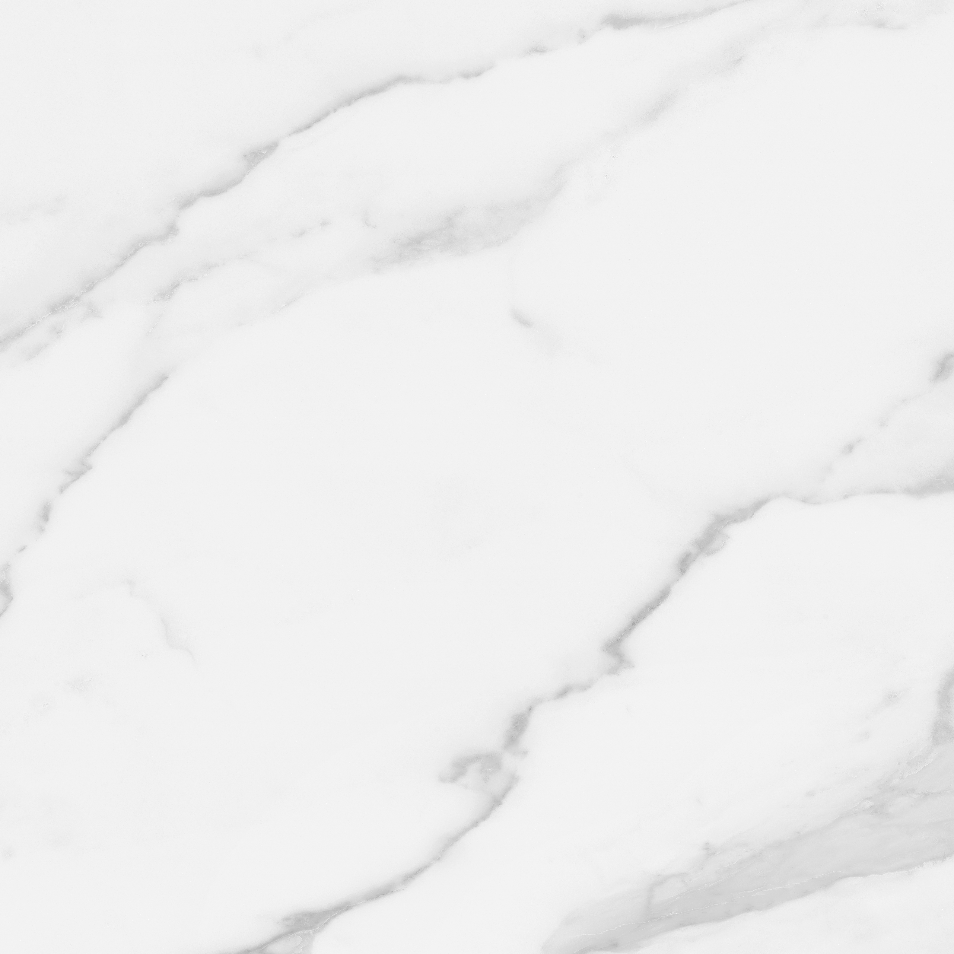 statuario brina pattern glazed porcelain field tile from plata anatolia collection distributed by surface group international polished finish rectified edge 24x24 square shape