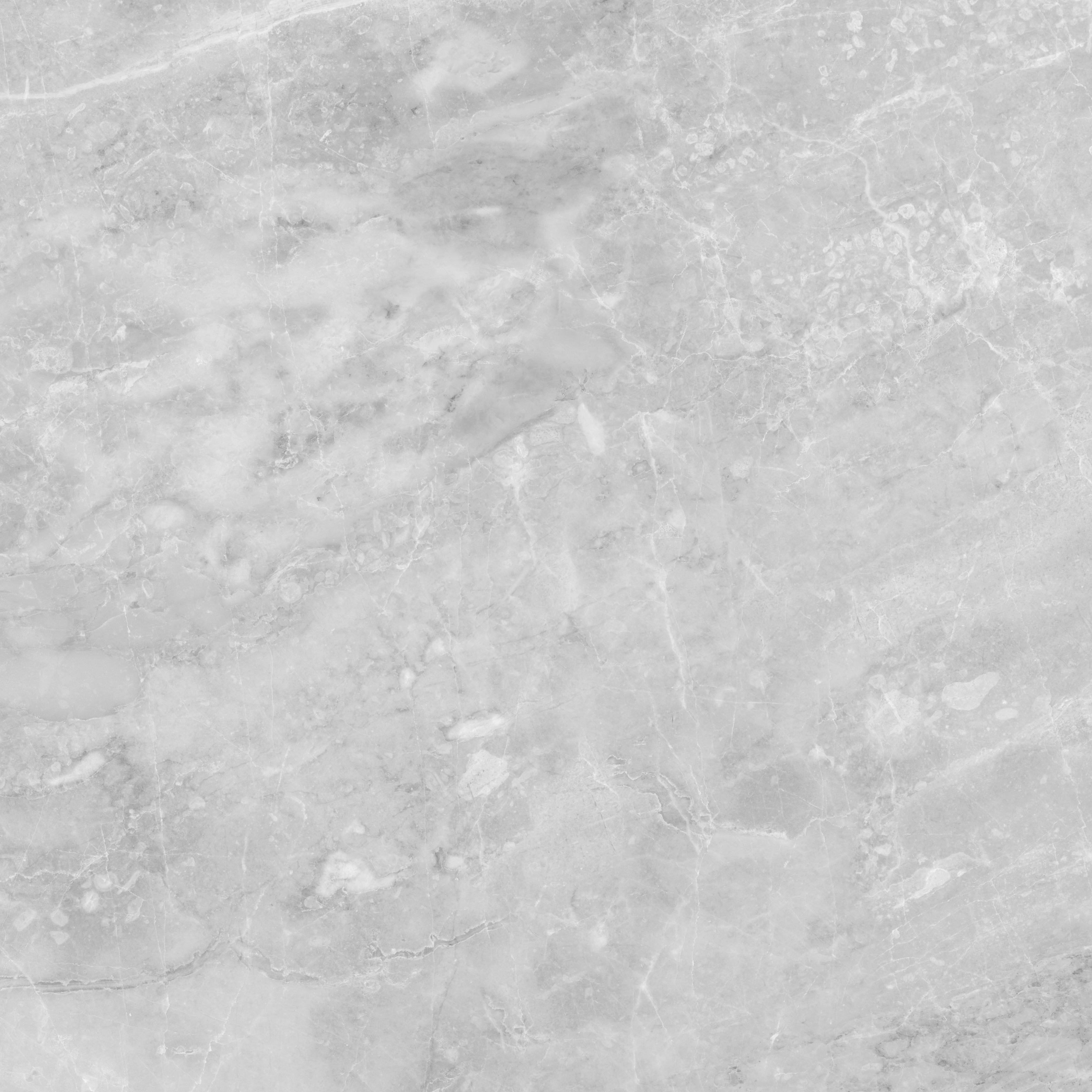 perla grigia pattern glazed porcelain field tile from plata anatolia collection distributed by surface group international polished finish rectified edge 24x24 square shape