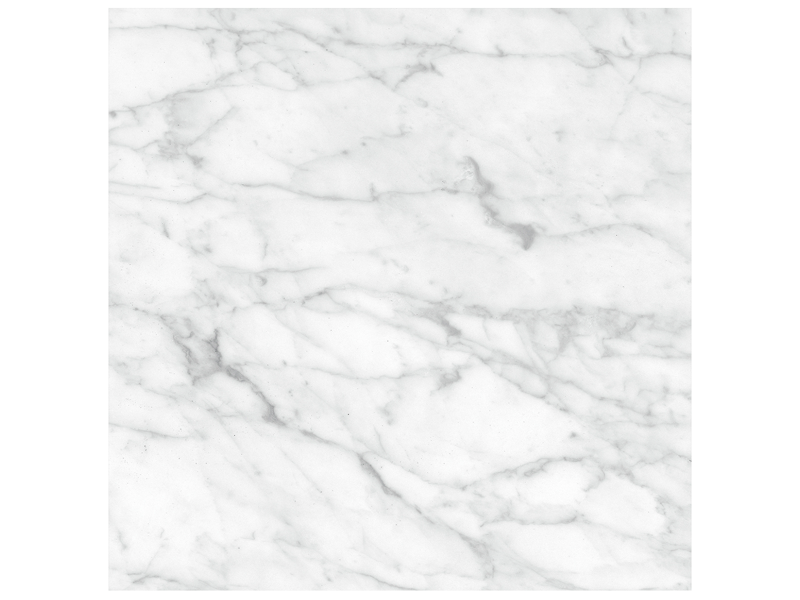 carrara abisso pattern glazed porcelain field tile from plata anatolia collection distributed by surface group international polished finish rectified edge 24x24 square shape